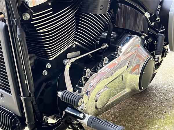 2024 Harley-Davidson Softail