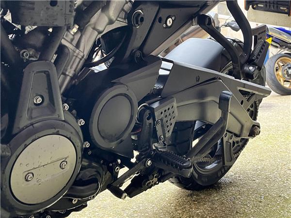 2021 Harley-Davidson Pan America