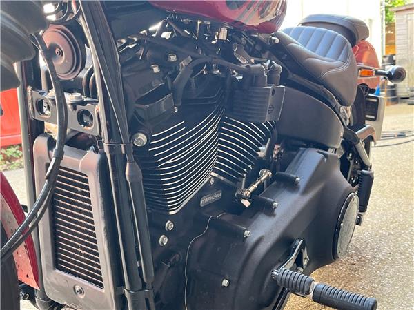 2023 Harley-Davidson Softail