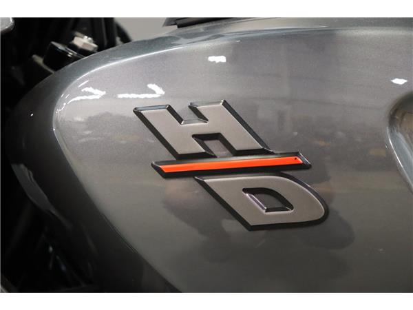 2022 HARLEY-DAVIDSON ADVENTURE TOURING RA1250 PAN AMERICA 1250