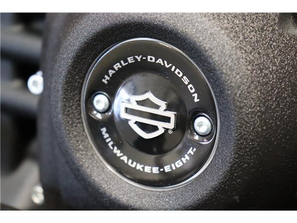 2024 HARLEY-DAVIDSON SOFTAIL FXBBS STREET BOB 114