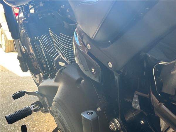 2023 Harley-Davidson Softail