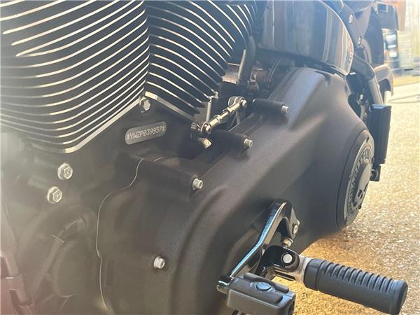 2023 Harley-Davidson Softail