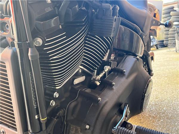 2023 Harley-Davidson Softail