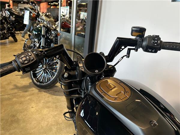 2022 HARLEY-DAVIDSON SPORTSTER 1250