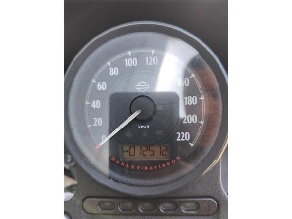 2020 Iron 1200