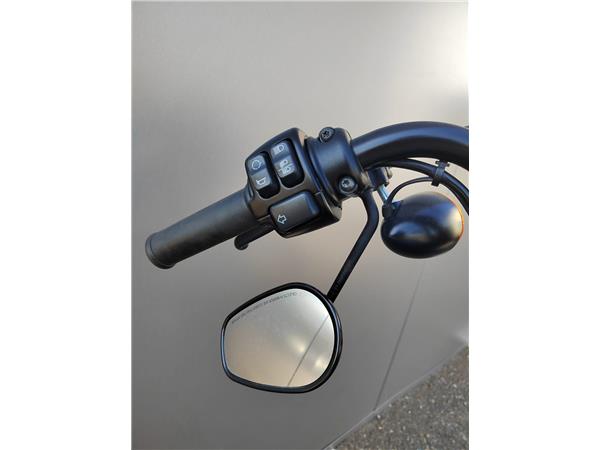 2020 Iron 1200