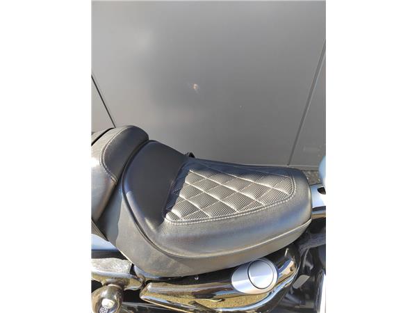 2020 Iron 1200