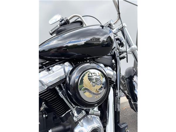 2021 HARLEY-DAVIDSON STANDARD