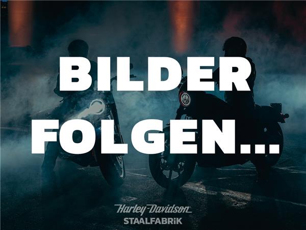 FLSS SOFTAIL SLIM S 110 TWINCAM SOFORT VERFÜGBAR
