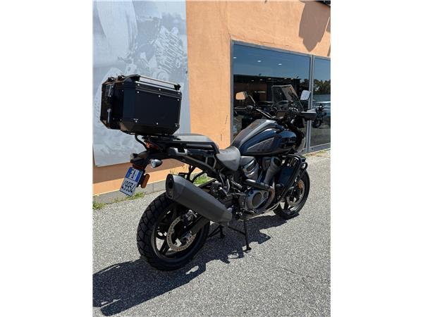 Harley-Davidson RA1250S - Pan America Special