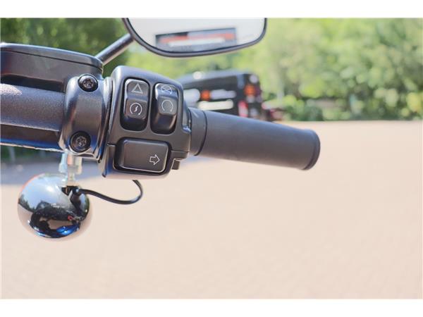 2024 HARLEY-DAVIDSON SOFTAIL FXBBS STREET BOB 114