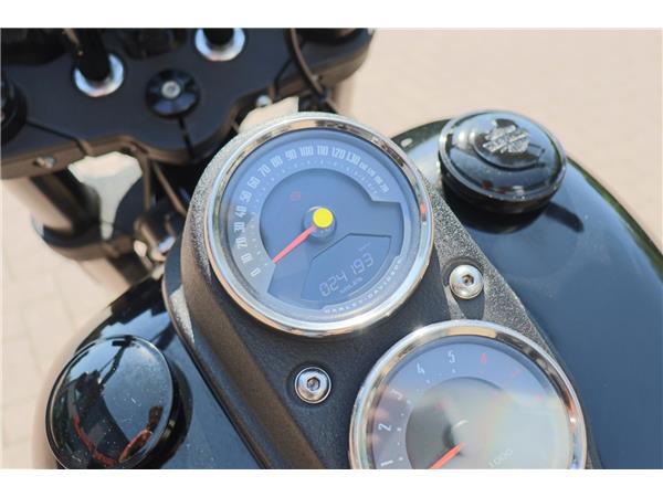 2020 HARLEY-DAVIDSON SOFTAIL FXLRS LOW RIDER S
