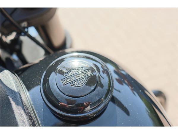 2020 HARLEY-DAVIDSON SOFTAIL FXLRS LOW RIDER S