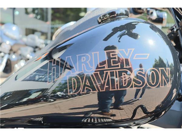 2020 HARLEY-DAVIDSON SOFTAIL FXLRS LOW RIDER S