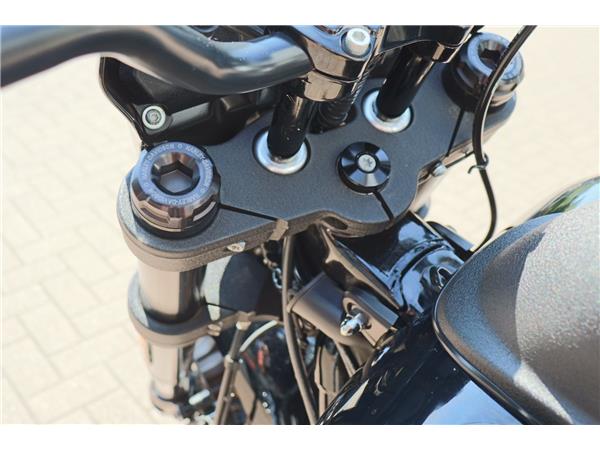 2020 HARLEY-DAVIDSON SOFTAIL FXLRS LOW RIDER S