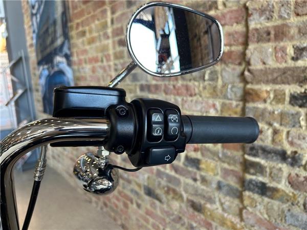 2021 Harley-Davidson Softail