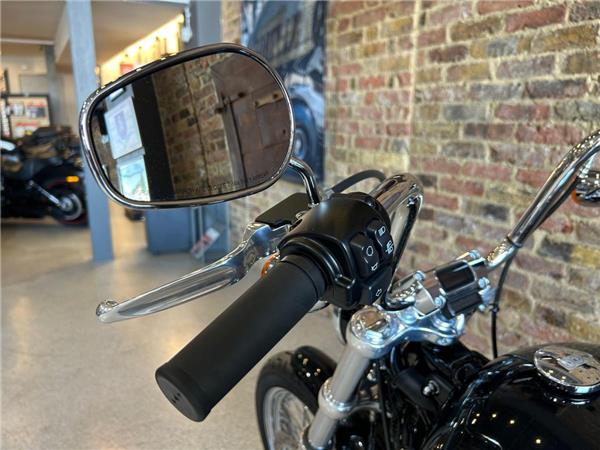 2021 Harley-Davidson Softail