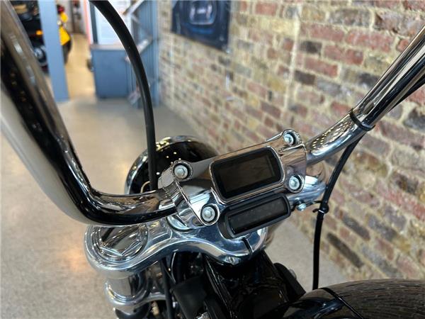 2021 Harley-Davidson Softail