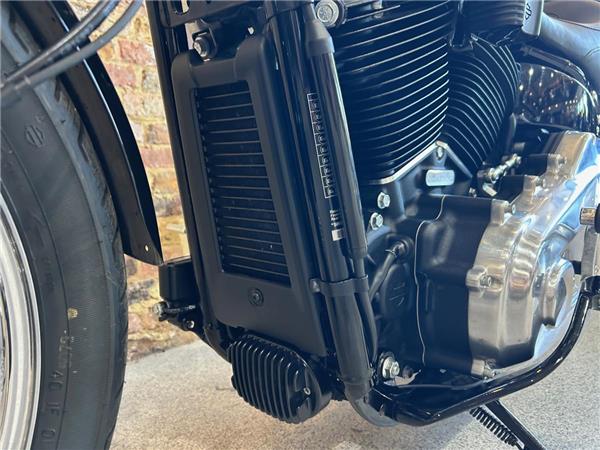 2021 Harley-Davidson Softail