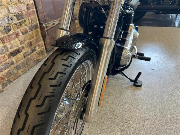 2021 Harley-Davidson Softail
