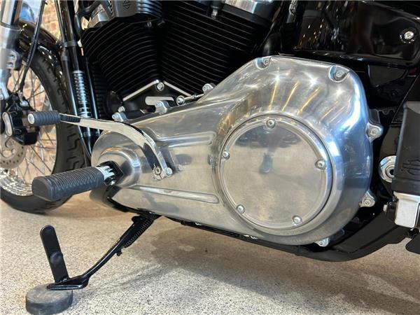 2021 Harley-Davidson Softail