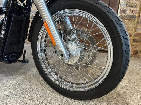 2021 Harley-Davidson Softail