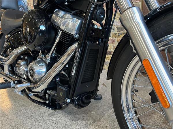 2021 Harley-Davidson Softail