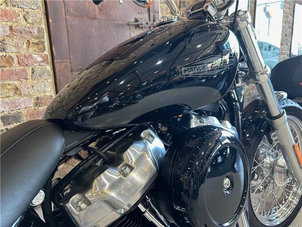 2021 Harley-Davidson Softail