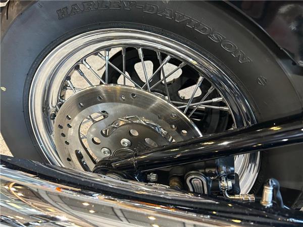 2021 Harley-Davidson Softail