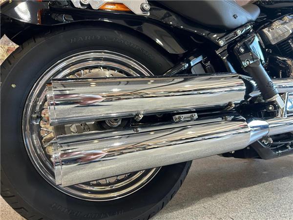 2021 Harley-Davidson Softail