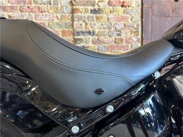 2021 Harley-Davidson Softail