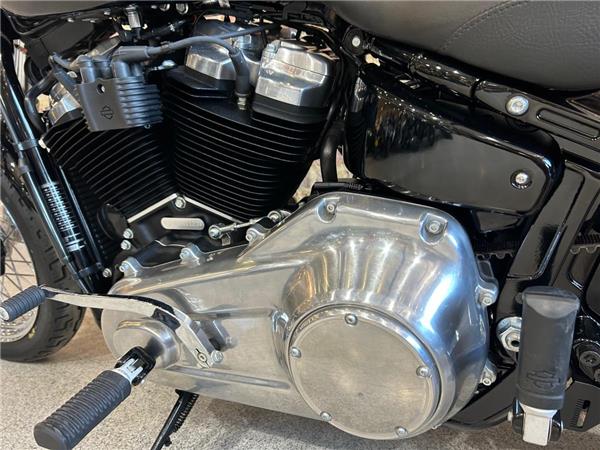 2021 Harley-Davidson Softail