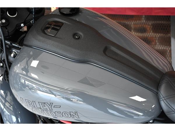 2023 HARLEY-DAVIDSON SOFTAIL FXLRS LOW RIDER S