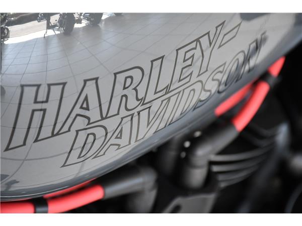 2023 HARLEY-DAVIDSON SOFTAIL FXLRS LOW RIDER S