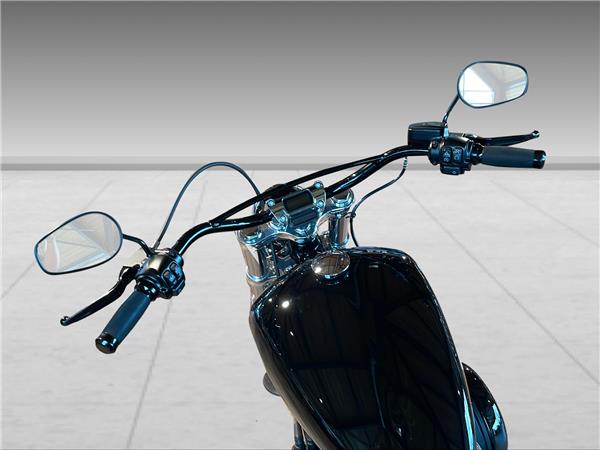 2021 HARLEY-DAVIDSON Softail FXST Softail Standard 35 kW