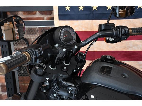 2022 HARLEY-DAVIDSON LOW RIDER S
