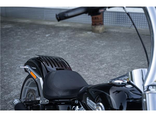 Harley-Davidson Kiel SOTAIL FAT BOY FLFBS 114 - JEKILL&HYDE - FAT APE