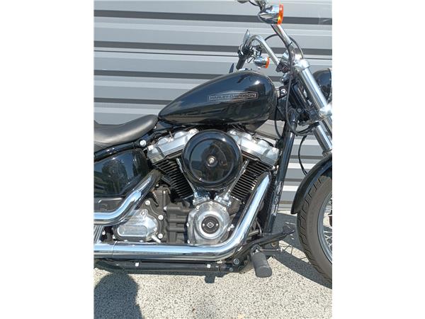 2021 HARLEY-DAVIDSON STANDARD
