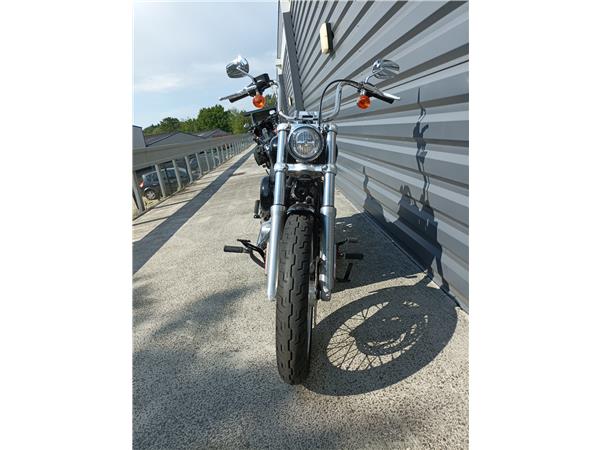 2021 HARLEY-DAVIDSON STANDARD