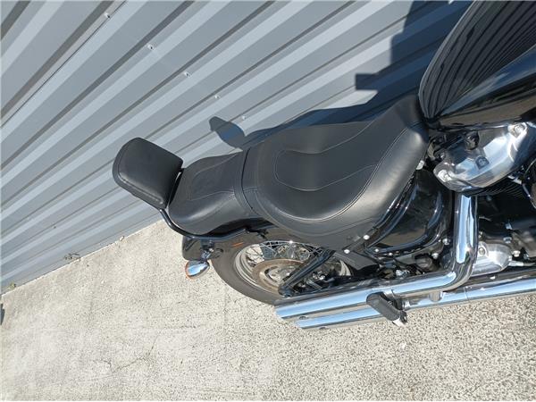 2021 HARLEY-DAVIDSON STANDARD