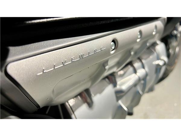 2021 HARLEY-DAVIDSON LiveWire Live Wire