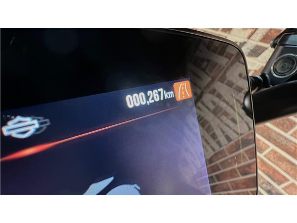 2021 HARLEY-DAVIDSON LiveWire Live Wire