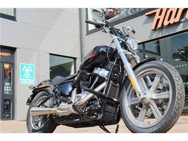 2025 HARLEY-DAVIDSON SOFTAIL STANDARD 