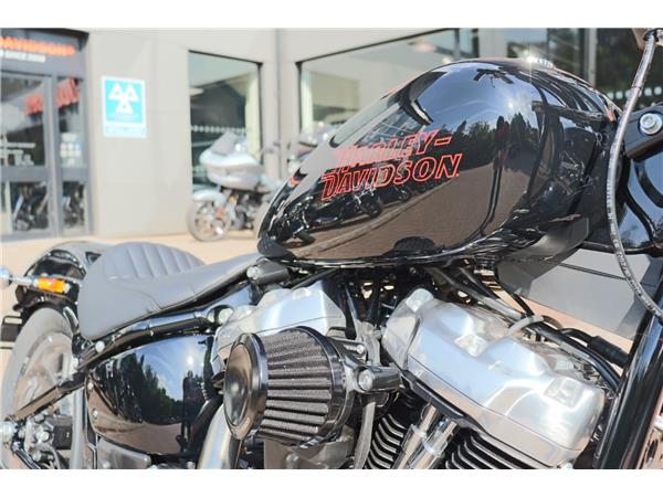 2025 HARLEY-DAVIDSON SOFTAIL STANDARD 