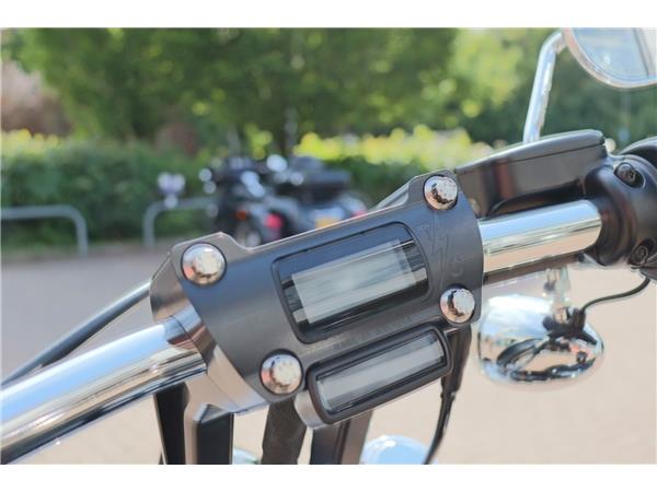 2025 HARLEY-DAVIDSON SOFTAIL STANDARD 