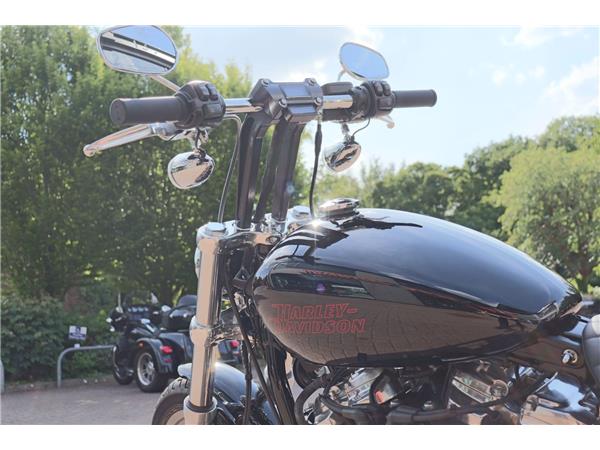 2025 HARLEY-DAVIDSON SOFTAIL STANDARD 