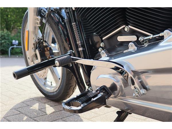 2025 HARLEY-DAVIDSON SOFTAIL STANDARD 