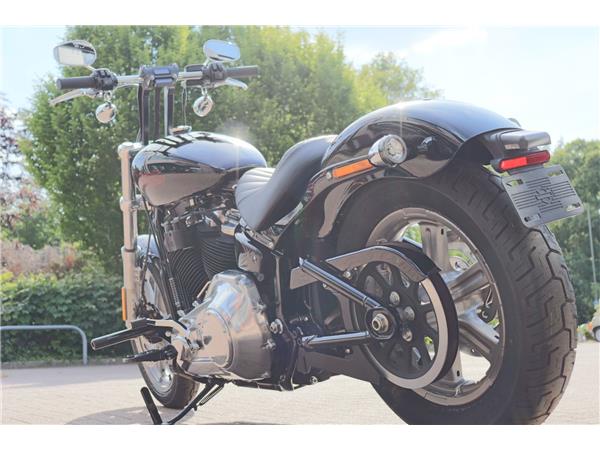 2025 HARLEY-DAVIDSON SOFTAIL STANDARD 