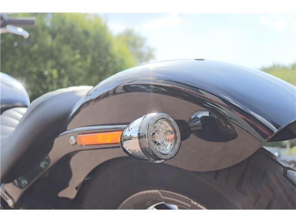 2025 HARLEY-DAVIDSON SOFTAIL STANDARD 